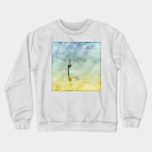 Mangrove with Shadow and Reflection Crewneck Sweatshirt